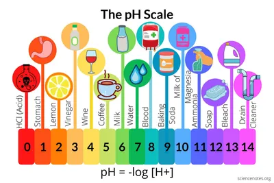 Horizontal and Vertical Lines: Review and Examples | Albert Resources