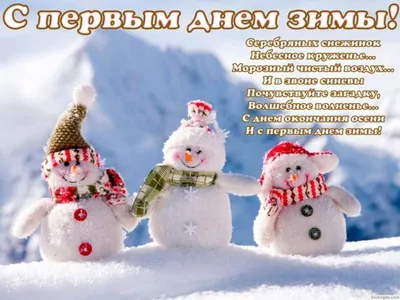 Сибирские открытки и милые стихи в Первый день зимы 1 декабря для россиян |  Весь Искитим | Дзен