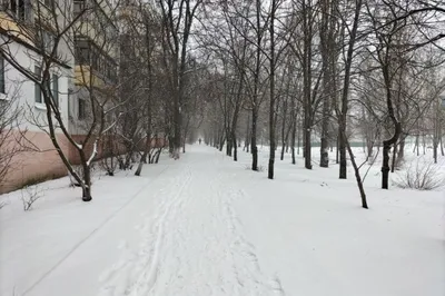 Первый день зимы. Photographer Protsenko Tatyana