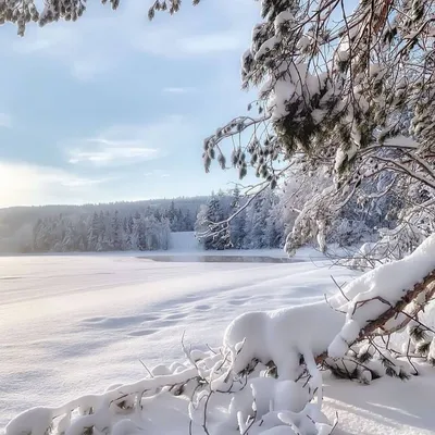 Картинки \"С 1 декабря\" (78 фото)