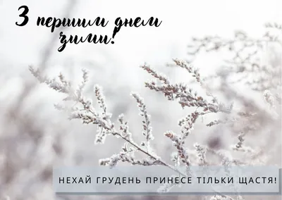 Синоптики рассказали о погоде в Воронежской области в первый день зимы —  Интернет-канал «TV Губерния»
