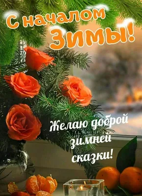 Городской транспорт будет бесплатным всю новогоднюю ночь — с 20:00 31  декабря до 06:00 1 января - Единый Транспортный Портал