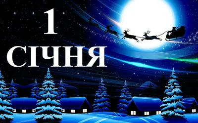 Десять социально важных законов, которые вступят в силу с 1 января 2024 года