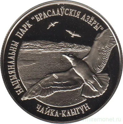 Набор из 6 монет 1 рубль 2003 года СПМД «300-летие основания  Санкт-Петербурга» купить в Москве - интернет-магазин нумизматики в Москве