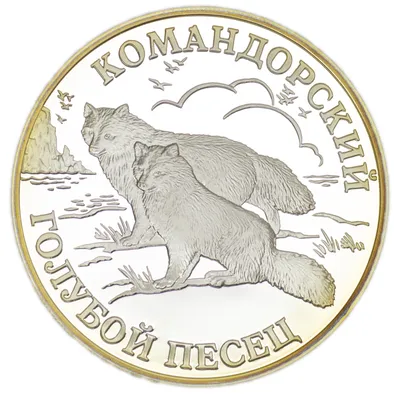 Набор из 6 монет 1 рубль 2003 года СПМД «300-летие основания  Санкт-Петербурга» купить в Москве - интернет-магазин нумизматики в Москве