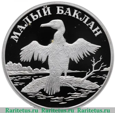 Набор из 6-ти монет 1 рубль 2003 год 300-летие основания  Санкт-Петербурга.Редкий