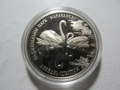 Цена монеты 1 рубль 2003 года СПМД proof, грифон \"грифон на Банковском  мостике\": стоимость по аукционам на юбилейную монету России.