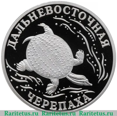 Почему \"звездный\" 1 рубль РФ 2003 года стоит так дорого? | Современники  Фишера и Карпова | Дзен