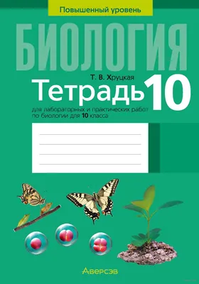 10 КЛАСС СОР/СОЧ РУС [СКУЛХАК] 2024 | ВКонтакте