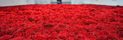 Букет 1001 красная роза | Доставка цветов в Москве