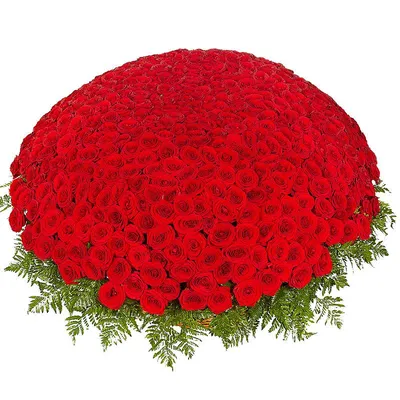 1001 роза купить в Челябинске | Бесплатная доставка по центру города
