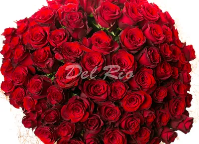 Bouquet «101 roses» | Цветочный дом Del Rio