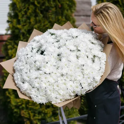 101 белая кустовая хризантема в букете за 25 690 руб. | Бесплатная доставка  цветов по Москве