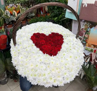 101 хризантема с сердцем - Доставкой цветов в Москве! 121096 товаров! Цены  от 487 руб. Цветы Тут