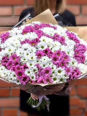 Букет из 101 белой кустовой хризантемы купить недорого с доставкой в  Челябинске