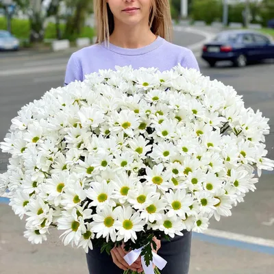 Купить букет из 101 белой хризантемы по доступной цене с доставкой в Москве  и области в интернет-магазине Город Букетов