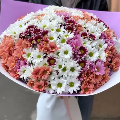 101 хризантема в корзине, Цветы и подарки в Москве, купить по цене 35500  RUB, Цветы в корзине в Natali flowers с доставкой | Flowwow