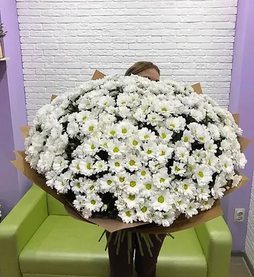 Бесплатная доставка цветов в Перми. 101 кустовая хризантема с оформлением  #1663