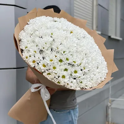 Купить большой букет из 101 хризантемы по доступной цене с доставкой в  Москве и области в интернет-магазине Город Букетов