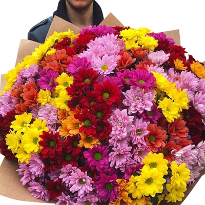 Бело-фиолетовые хризантемы - 101 шт. за 25 690 руб. | Бесплатная доставка  цветов по Москве