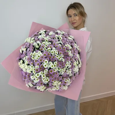 Букет из 101 белой хризантемы ромашки купить в Киеве: цена, заказ, доставка  | Магазин «Камелия»