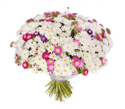 101 ХРИЗАНТЕМА РОМАШКА🤍 Это любовь с первого взгляда! В отличие от  настоящих ромашек, эти цветы доступны в нашем цветочном магазине… |  Instagram