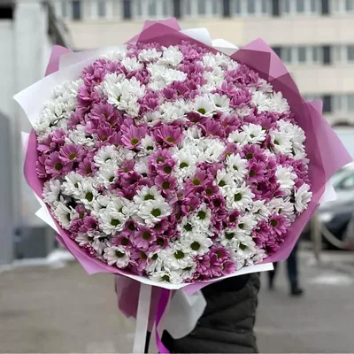 Букет 101 хризантема микс купить в Киеве: цена, заказ, доставка | Магазин  «Камелия»