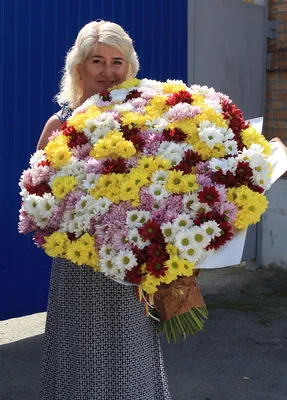 101 хризантема купить в Перми за 21840 руб. с доставкой | Интернет-магазин  цветов «Фан-Фан»