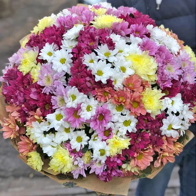 101 кустовая хризантема доставка в Ишиме | Валерия