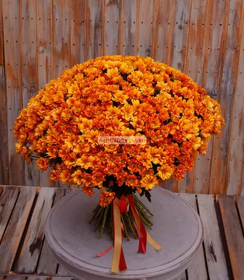 101 хризантема | Цветы.Ру