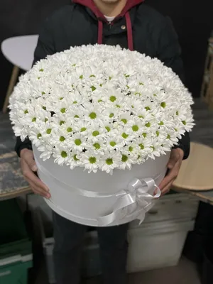 101 радужная хризантема купить в Минске, заказать букет с доставкой