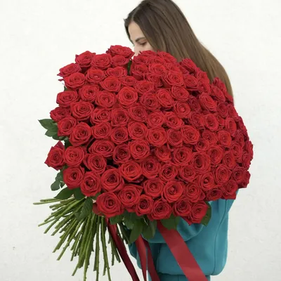 101 красная роза фото фотографии