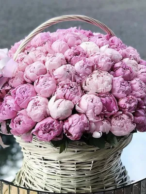 Almaflowers.kz | Букет из 101 пиона (Розовые и белые) - купить в Алматы по  лучшей цене с доставкой