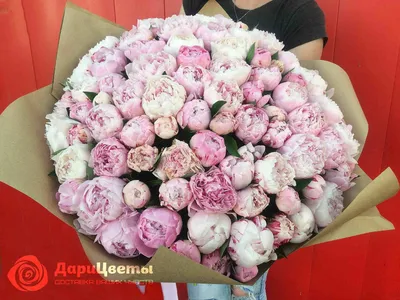 Купить Огромный букет 101 розовый пион с оформлением R175 в Москве, цена 44  190 руб.
