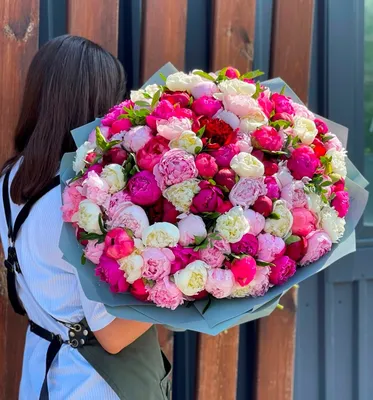 Купить 101 бело-розовый пион в упаковке по доступной цене с доставкой в  Москве и области в интернет-магазине Город Букетов
