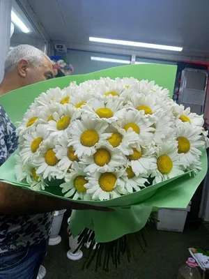 Букет 101 ромашка купить в Гродно с доставкой на дом