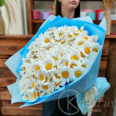 Букет ромашек 101 цветок | Flowers Valley