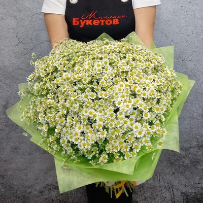 ᐉ Букет из 101 ромашки купить в Алматы, отличная цена 234925.00 тенге |  Интернет-магазин «Cvetok24»