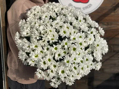 Купить 101 ромашка в корзине в Москве недорого с доставкой
