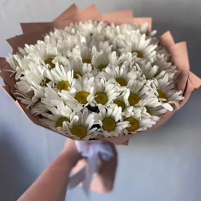 Букет из 101 ромашки «Golden glow bouquet» 💐 купить по цене 11 990 ₽ с  доставкой в Москве