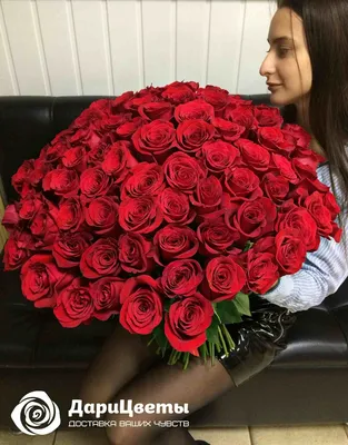 101 красная роза 50 см | доставка по Москве и области