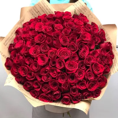 101 роза Эксплоэр 50 см