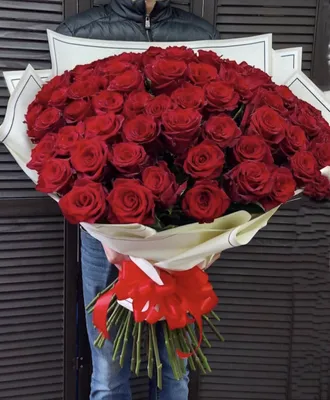 101 красная роза 50см Премиум - Доставкой цветов в Москве! 24161 товаров!  Цены от 487 руб. Цветы Тут