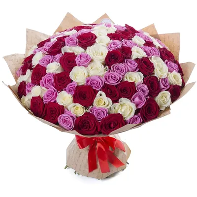 А) 101 Роза \"Испания\" 50 см и скидки в интернет магазине цветов Роз Новоросс