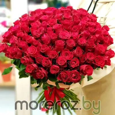 101 роза | Роза 50 см | 101 роза купить | Доставка по Москве