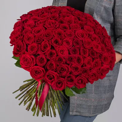 Букет из 101 розы 50 см купить по цене 11 440 руб. с доставкой в Краснодаре