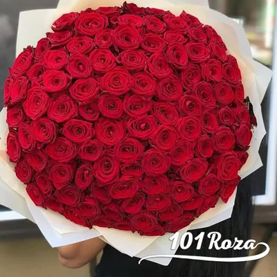 101 красная роза (50 см)
