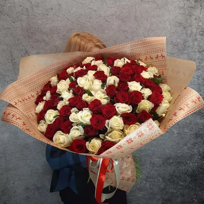 101 бело-розовая роза 50 см - Купить розы с доставкой