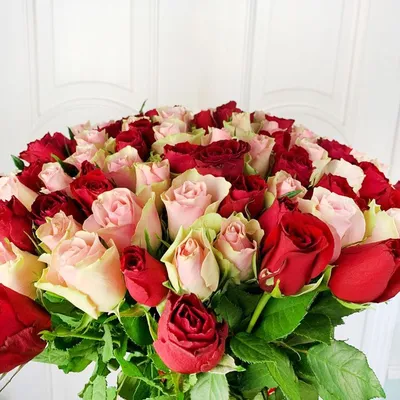 Купить Букет 101 красно-белая роза 50 см в Санкт-Петербурге. 101 роза в  красочных букетах недорого с доставкой на дом.