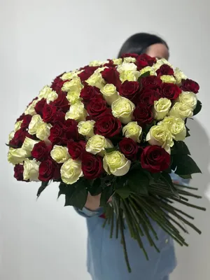 101 белая роз (50 см)